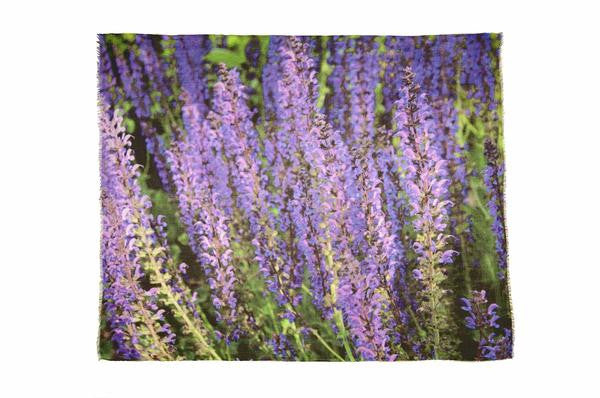 Lavender Fields - Designer Luxury scarf by Sheila Johnson Collection